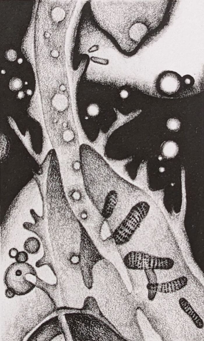 2013　リトグラフ 100×60mm