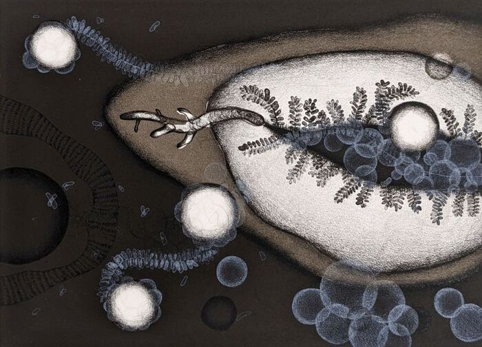 2009　リトグラフ　220×160mm