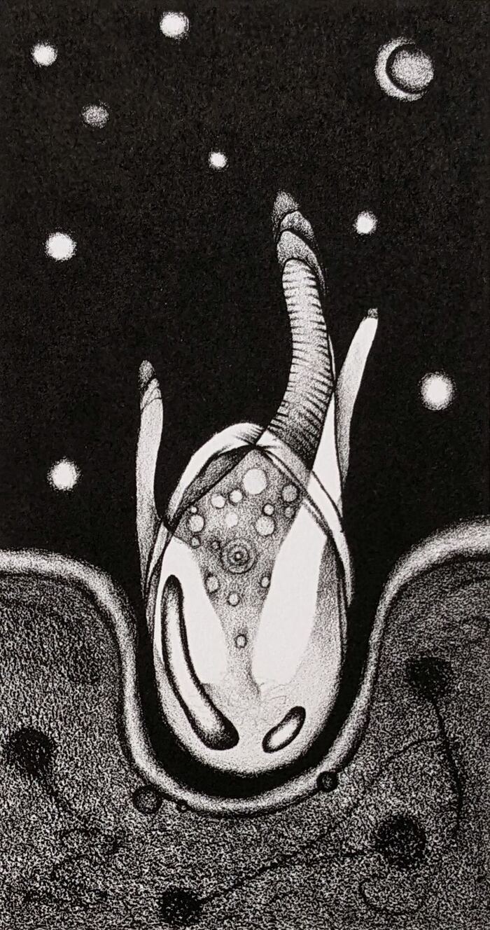 2012　リトグラフ　150×80mm