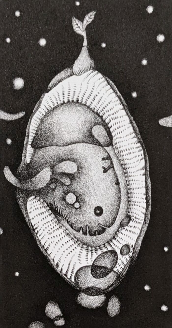 『micro-no.13』 2012 リトグラフ 150×80mm
